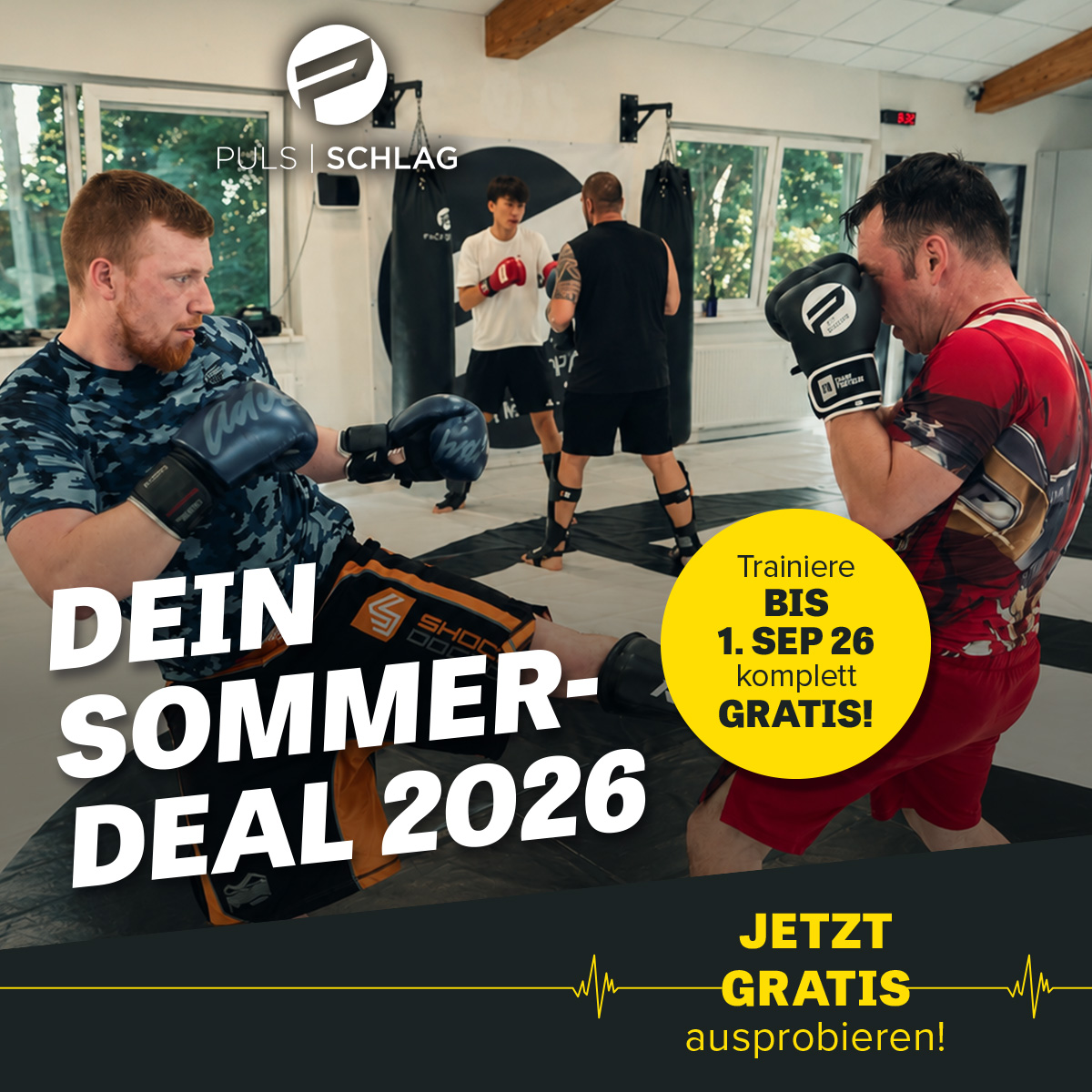Puls Schlag_Sommer-Deal_bis Sep_2_1200x1200